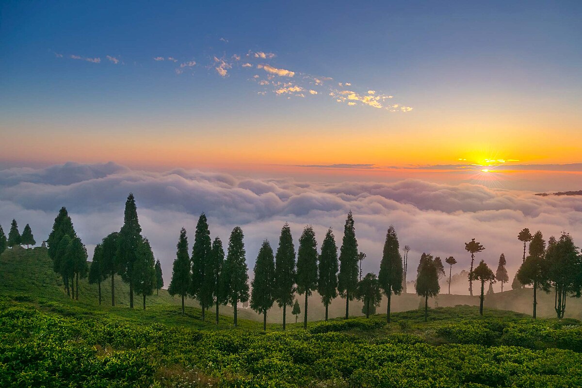 Natural & Peaceful Setting